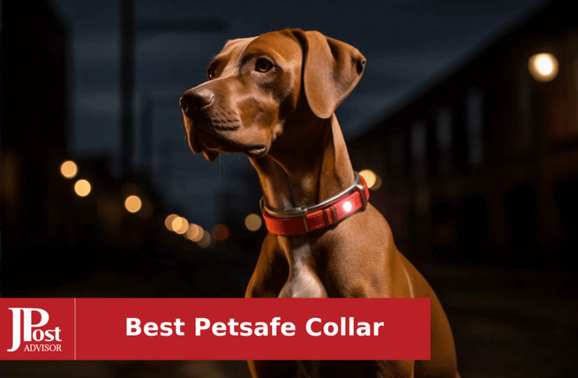 PetSafe Classic In-Ground Fence Rechargeable Receiver Collar for Dogs and  Cats - from The Parent Company of Invisible Fence Brand - 7 Levels of
