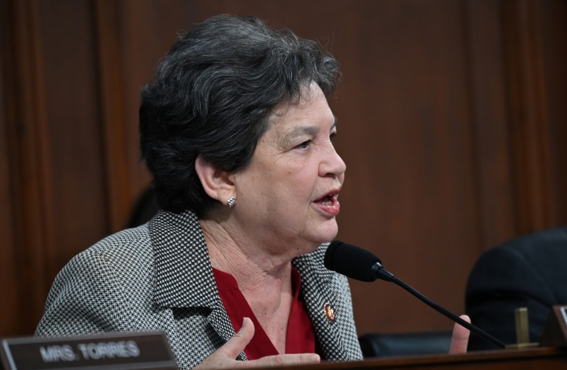  Representative Lois Frankel (D-FL) speaks during testimony by U.S. Secretary of State Mike Pompeo at a hearing on the State Department's budget request for 2020 in Washington, U.S. March 27, 2019. (photo credit: REUTERS/ERIN SCOTT)