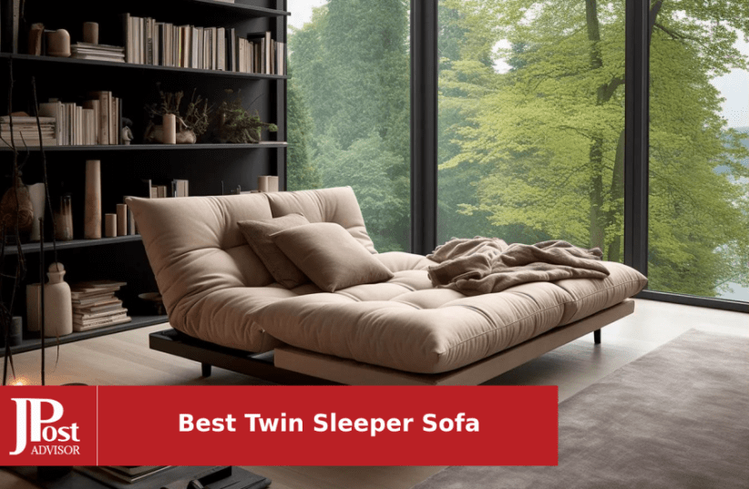 8 Best Ing Twin Sleeper Sofas For