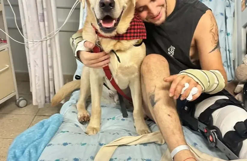 The dog Ranger and one of the patients (photo credit:  Meitar Sela "dogs in call up order")