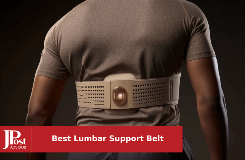 Sparthos Back Support Belt - Immediate Relief from Back Pain, Sciatica,  Herniated Disc - Breathable Brace With Lumbar Pad - Lower Backbrace For  Home 