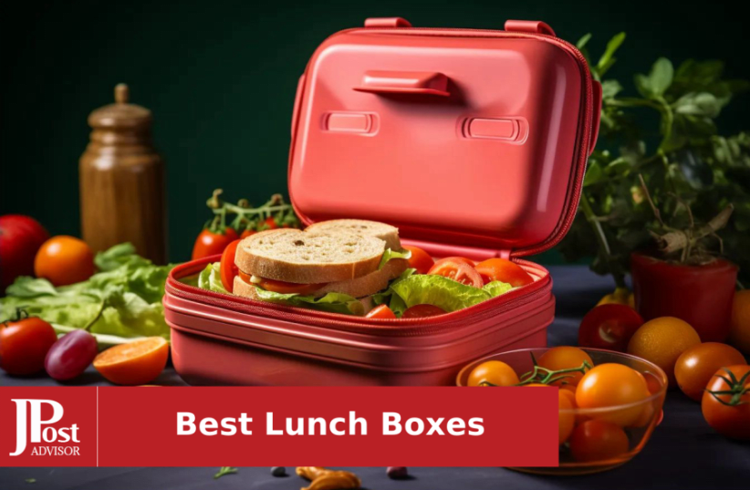 The 13 Best Lunch Containers of 2024, Tested & Reviewed