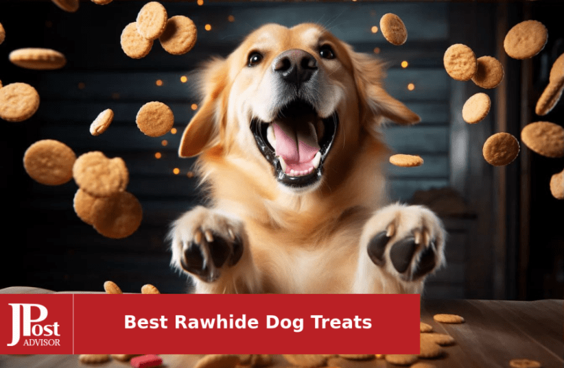 Pawstruck review: Bully sticks, dental chews and dog treats - Reviewed