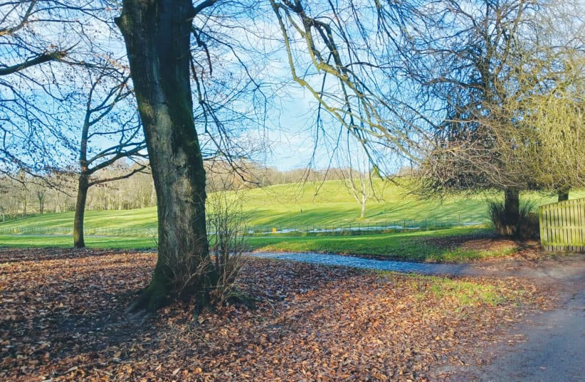  'WHILE A walk in Heaton Park was a delight and a reminder of the many happy years I spent here, I am looking forward to boarding the EL AL flight to the only place where I really feel at home,' says the writer. (photo credit: ELISHEVA LIBERMAN)