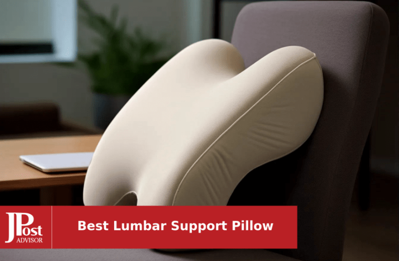  QUTOOL Lumbar Support Pillow for Office Chair, Memory