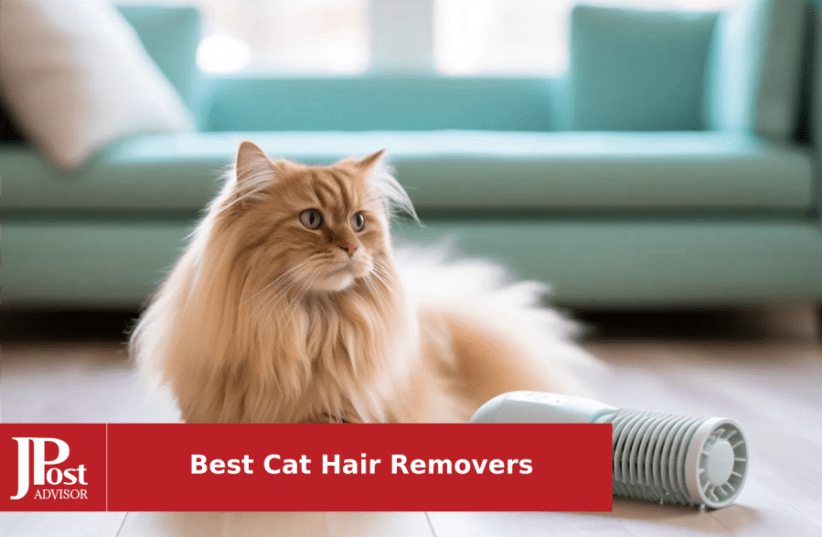 10 Best Selling Cat Hair Removers for 2024 - The Jerusalem Post