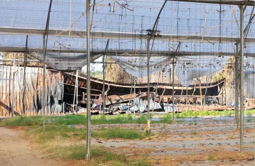  THE FARM’S storage sheds were burned during the October 7 attack. (photo credit: MARC ISRAEL SELLEM)