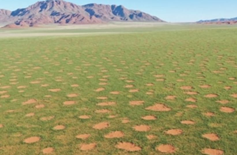  Fairy circles in Namibia (photo credit: Courtesy)