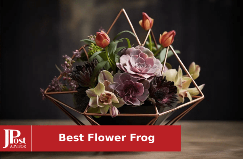 2 Kenzan Flower Frog for Stunning and Long-Lasting Flower
