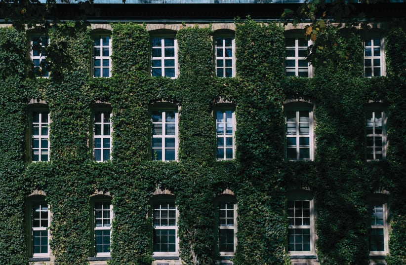  IVY LEAGUE colleges have become an Ameircan cultural icon. Pictured: Princeton. (photo credit: TIM ALEX/UNSPLASH)