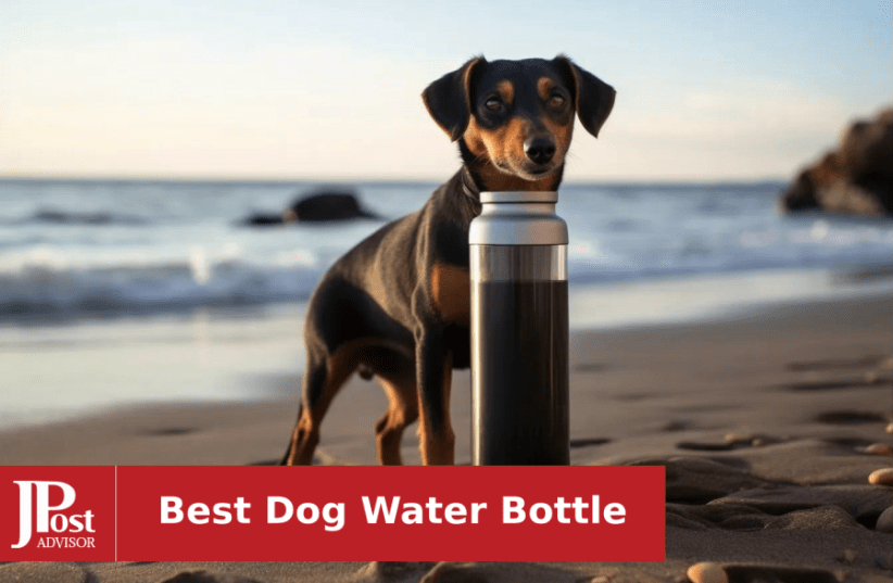 Springer Travel Water Bottle – DOGSHT