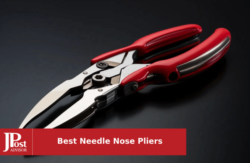 7 Best Needle Nose Pliers on  - The Jerusalem Post