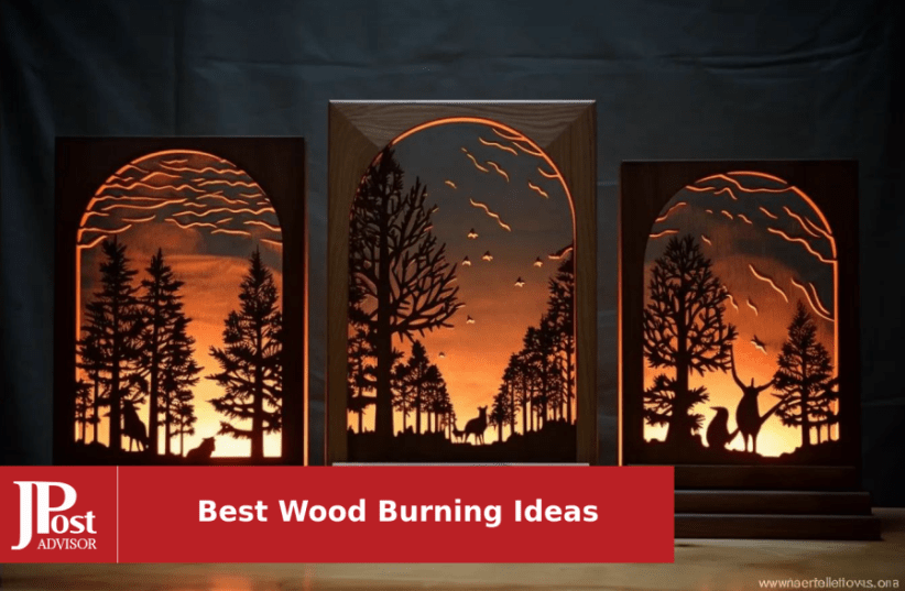 IVSUN 116pcs Wood Burning Kit, Professional Wood Burning Tool with Soldering, DIY Creative Tools Adjustable Temperature 220~480°C Wood Burner