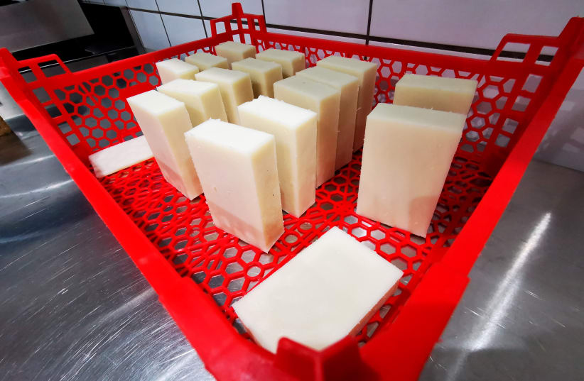 Bars of snail slime soap, made by French snail grower and soap maker Damien Desrocher, are seen in his lab in Wahagnies, near Lille, France, May 11, 2021. Picture taken May 11, 2021. (photo credit: REUTERS/Ardee Napolitano)