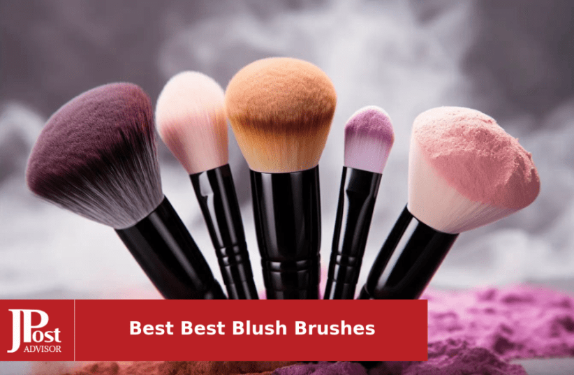 10 Best Blush Brushes Review The