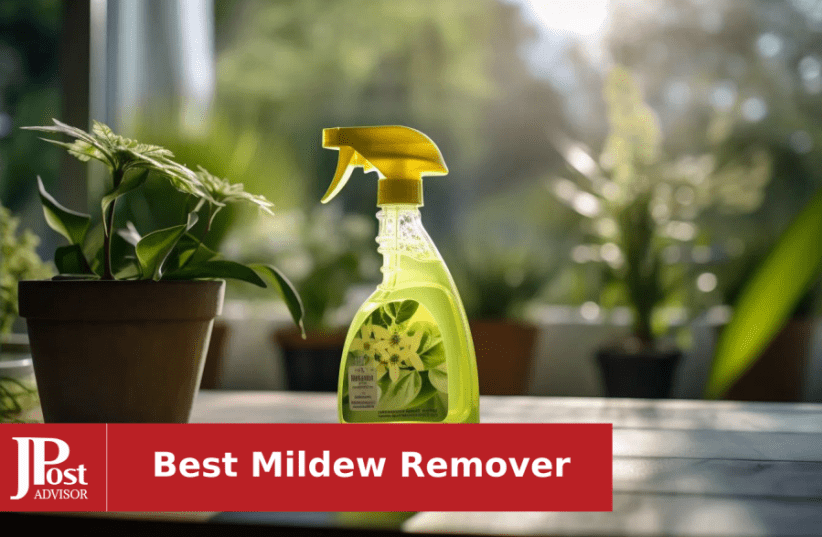 10 Best Selling Mildew Removers for 2024 - The Jerusalem Post