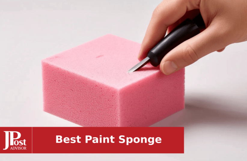 10 Most Popular Paint Sponges for 2023 (photo credit: PR)