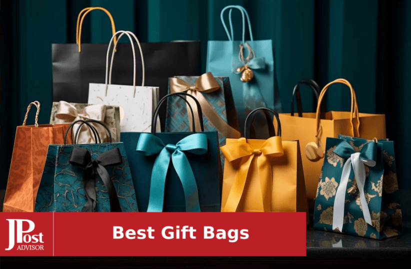 12 Pack Black Gift Bags with Ribbon Handles, Large Gift Bags with Tissue  Paper, Black Kraft Paper Gift Bags for Shopping, Small Business, Wedding