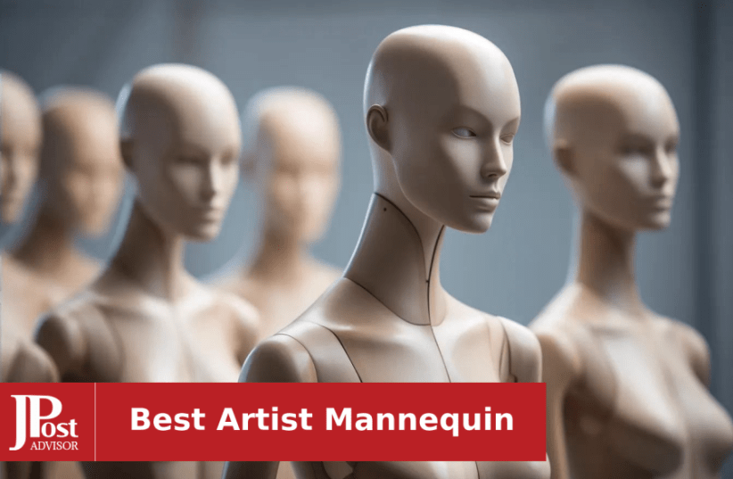 10 Best Artist Mannequins Review - The Jerusalem Post