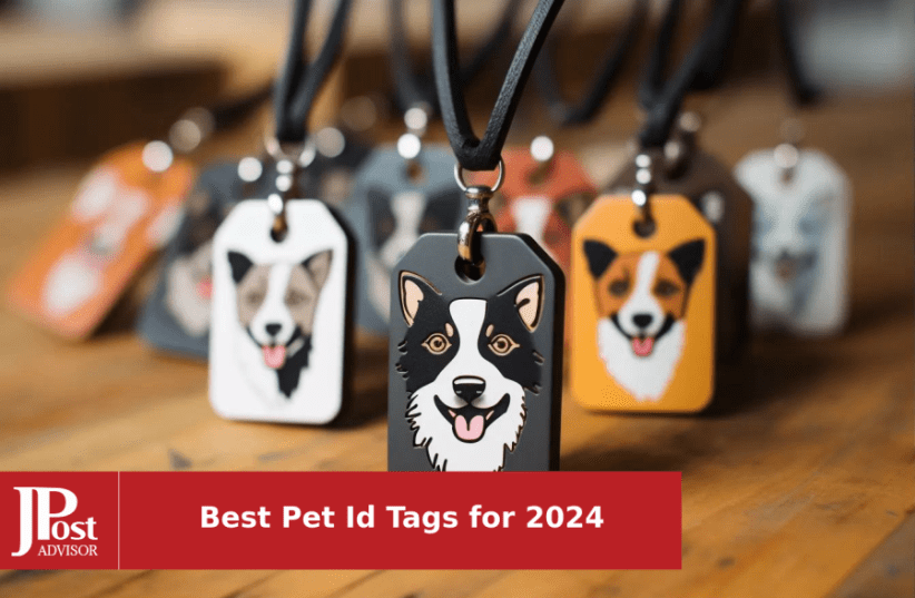 JATEBI 2 Pack Personalized Dog Tag, Slide-On Pet ID Tags,Stainless Steel  Dog Tags, No Jingle Slide on Cat ID Tag, Custom Engraved No Noise Animal