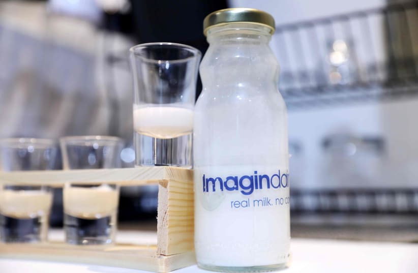  Imagindairy's lactose-free, hormone-free, cow-free milk (photo credit: YANIV KOPPEL)