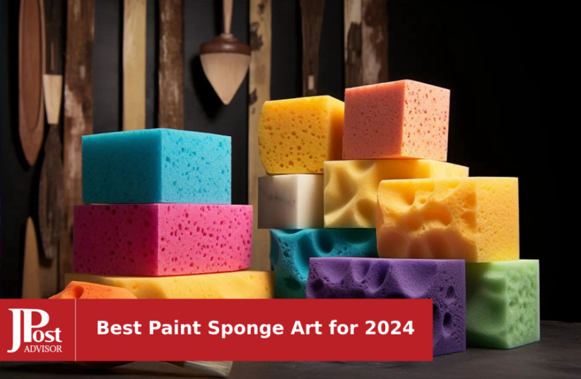 30 Pcs Round Sponges Brush Set Round Sponge Brushes for Painting Paint  Sponges for Acrylic Painting Painting Tools for Kids Arts and Crafts (4  Sizes)