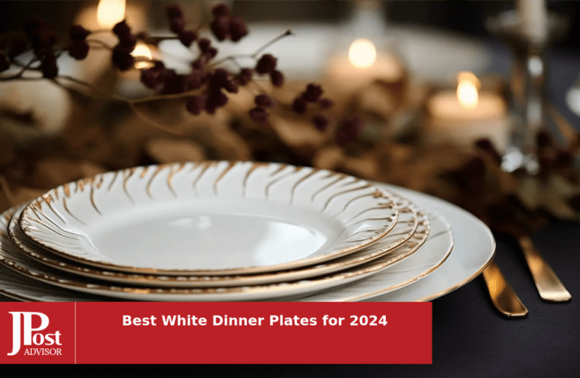 amHomel amhomel 12-piece white porcelain dinner plates, round dessert or  salad plate, serving dishes, dinnerware sets, scratch resist