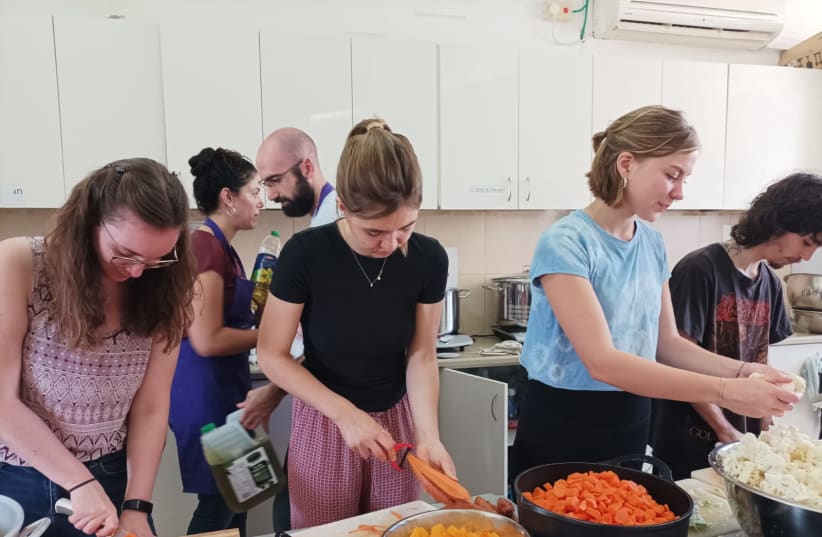  International students at the Hebrew University of Jerusalem take part in one of the many volunteering opportunities organized by the university. (photo credit: HEBREW UNIVERSITY OF JERUSALEM)