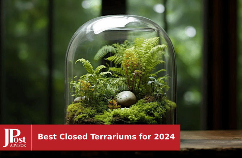 Small Starter Terrarium Kit Build Your Own Moss Terrarium Terrarium  Essentials 