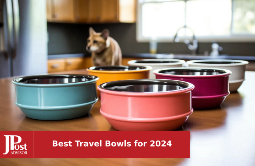 Travel Dog Bowls by Healthy Human | Stainless Steel Go Pet Bento Bowl |  Stackable Cat & Dog Food Bowls | Leak Proof Portable Puppy Supplies | Set  of 2