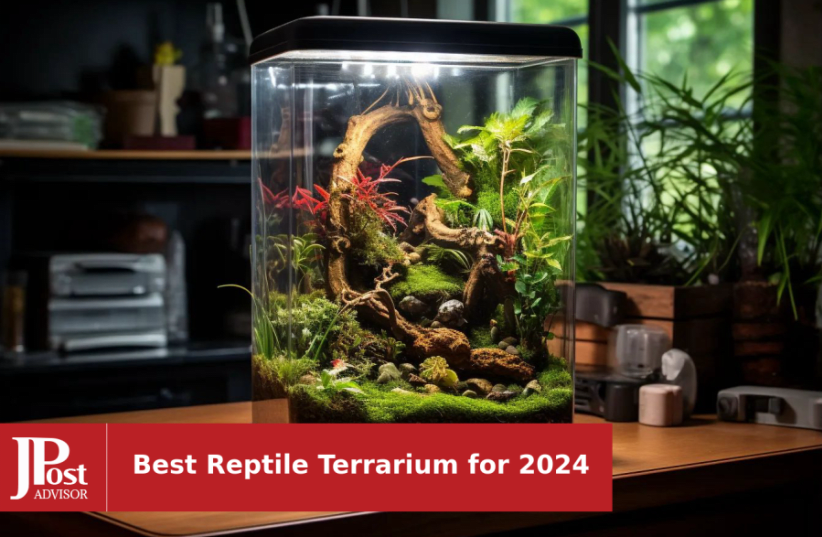12 of the best terrarium kits for 2024