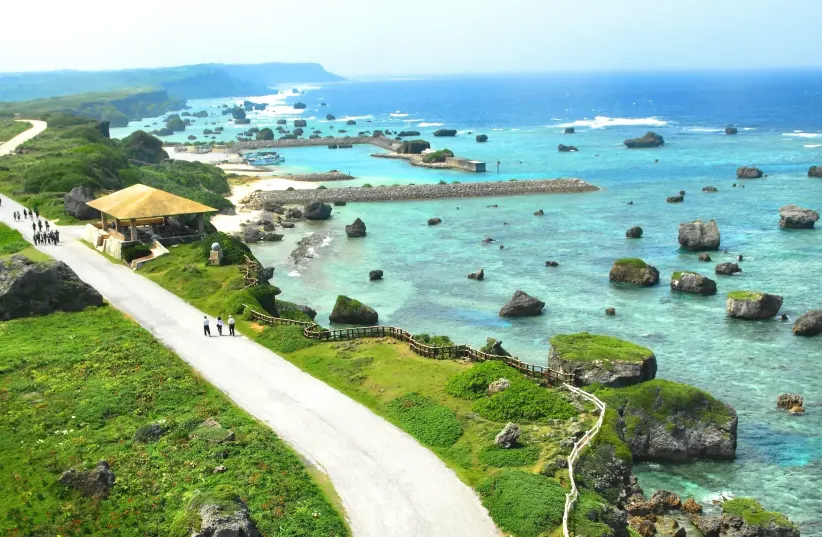  Why do people in Okinawa live longer? (photo credit: @dr.karanr, screenshot)