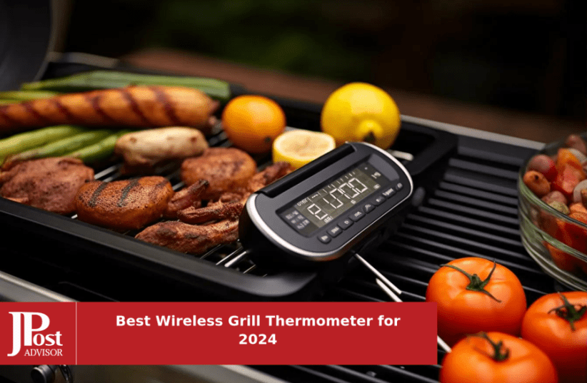 Das beste Fleischthermometer, Test 02/2024