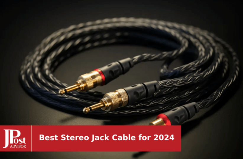 Most Popular Subwoofer Cables for 2024 - The Jerusalem Post