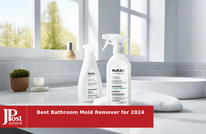 10 Best Bathroom Mold Removers for 2024 - The Jerusalem Post