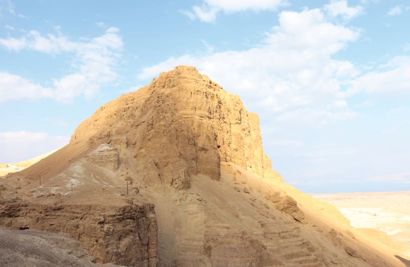  NAHAL QUMRAN near the Dead Sea.  (photo credit: SUSANNAH SCHILD)