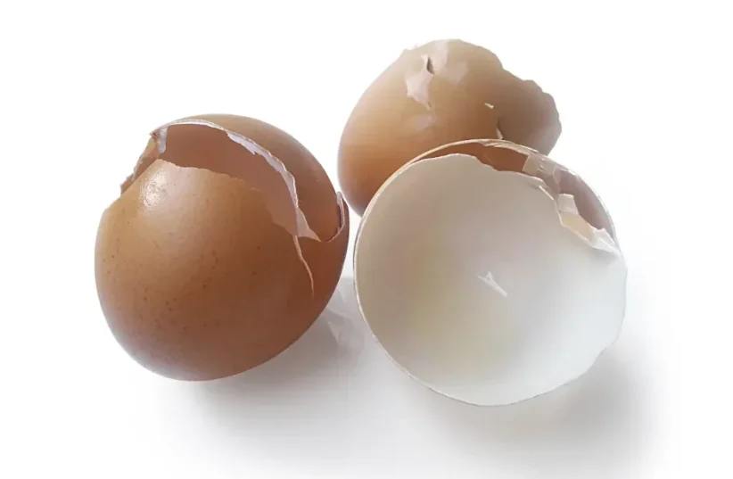  Do not throw away the eggshells - there is something to be done with them (photo credit: INGIMAGE)