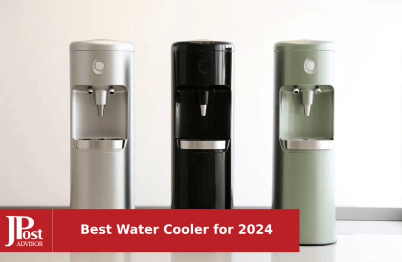6 Best Coolers of 2024, Tested & Reviewed by Experts