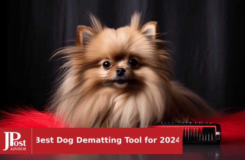 Best Grooming Tools For De Matting Your Dog: Top Picks!