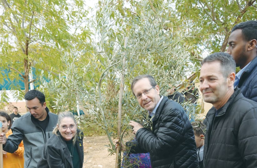  PRESIDENT ISAAC Herzog and his wife plant an olive tree sapling in Kerem Ashalim in Ramat Negev. (photo credit: AMOS BEN-GERSHOM/GPO)