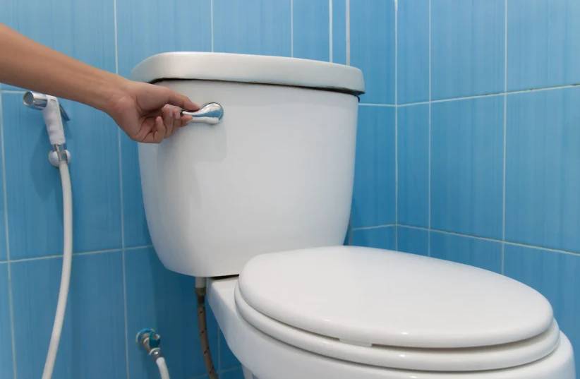  First of all, flush the toilet. You don't know what's hiding there (photo credit: SHUTTERSTOCK)