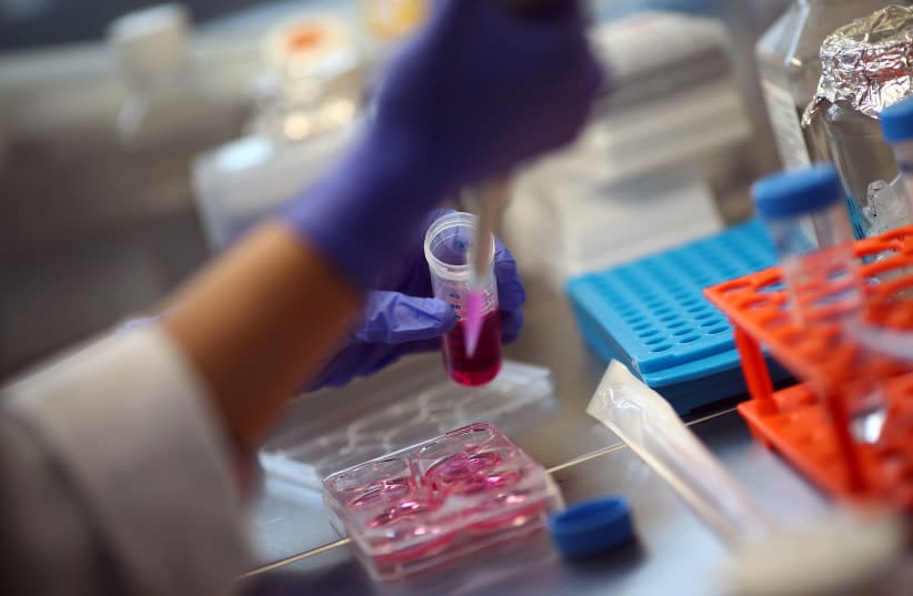  Un empleado trabaja con células madre en el laboratorio del doctor Ali Ertuerk en Múnich, Alemania 23 de abril de 2019. (photo credit: REUTERS/MICHAEL DALDER)
