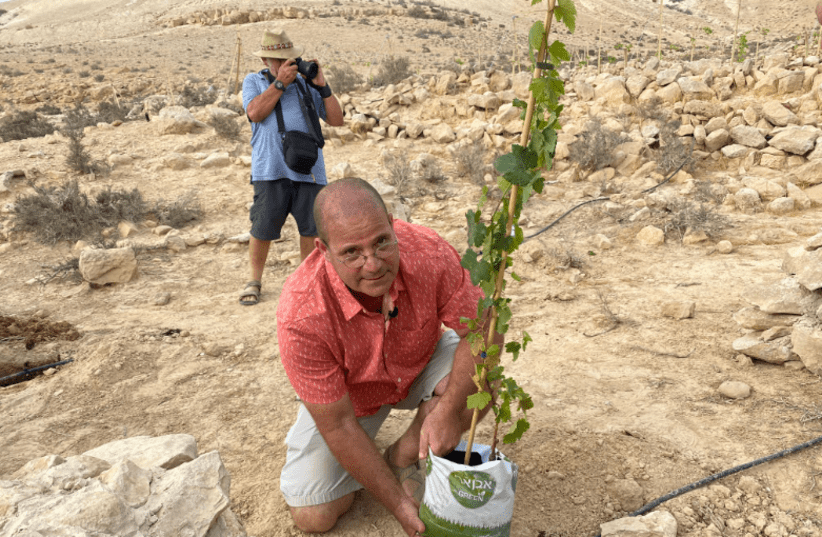  PROF. GUY BAR-OZ from the University of Haifa at the ceremonial planting of the ancient varieties in a new vineyard at Avdat.  (photo credit: Devorin Media)