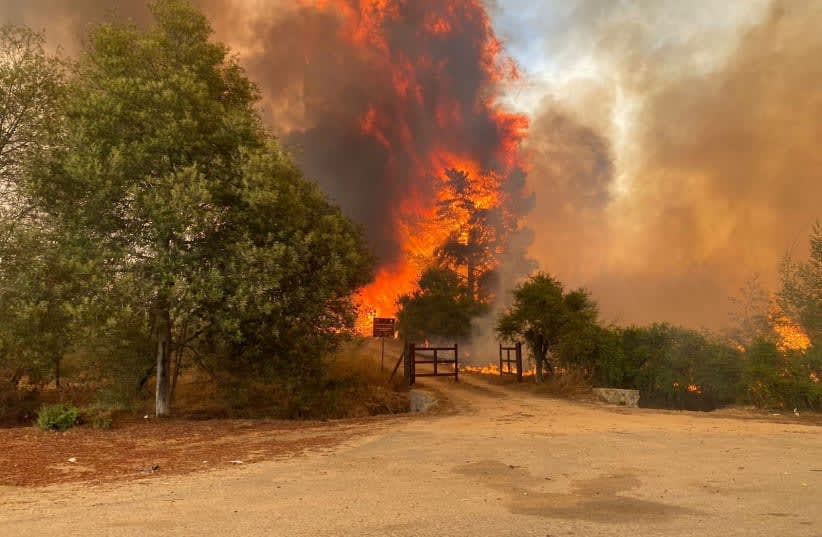  Fuego y humo se elevan mientras un incendio forestal arde cerca de la Reserva Nacional Lago Peñuelas, en la región de Valparaíso, Chile 2 de febrero de 2024. (photo credit: Bomberos de Chile/Handout via REUTERS)