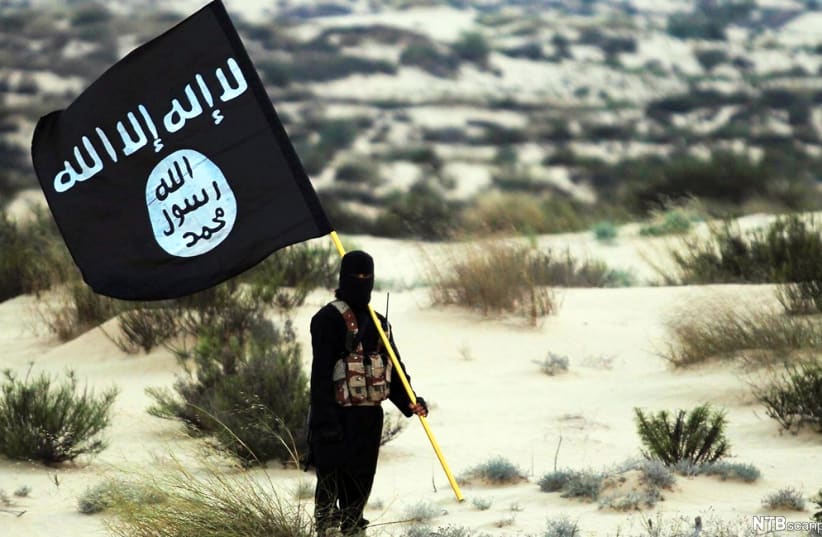  Un miembro del ISIS porta una bandera del Estado Islámico en Siria. (photo credit: NDLA)
