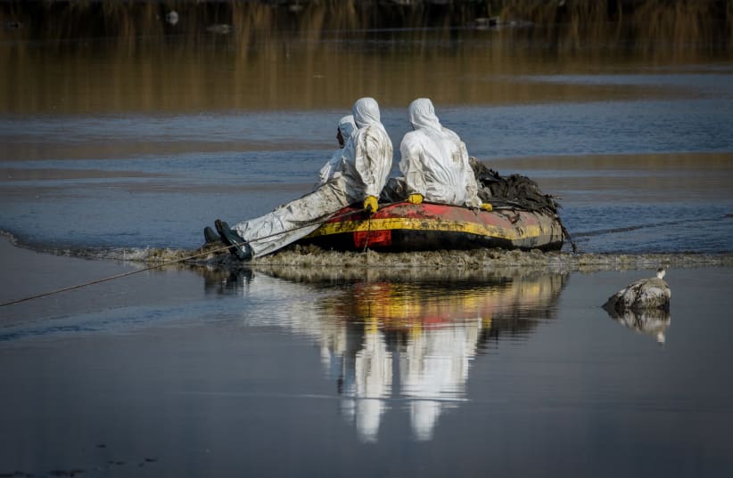 Workers from the Agriculture Ministry in protective gear retrieving dead cranes who were infected with the Avian Influenza (bird flu) from the Hula Lake in the Hula Valley Nature Reserve, northern Israel, January 2, 2022. (photo credit: MORAZ BROM/FLASH90)