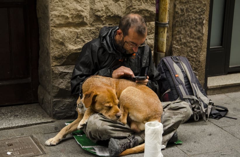  Homeless man and his dog, illustrative (photo credit: PICKPIK)