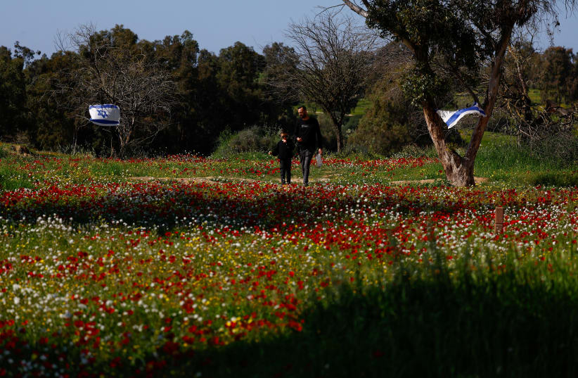 Un hombre y un niño caminan frente a banderas de Israel en un campo de flores en el sitio del festival Nova, donde ocurrió el ataque del 7 de octubre por pistoleros de Hamas desde Gaza, en medio del conflicto entre Israel y el grupo palestino Hamas, en Reim, sur. (photo credit: SUSANA VERA/REUTERS)