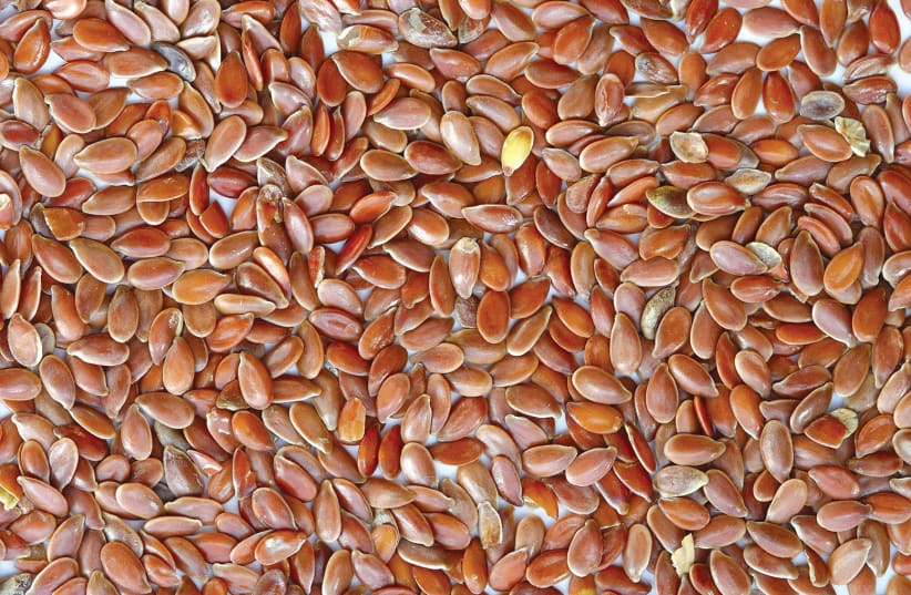  Las poderosas semillas de lino (photo credit: Wikimedia Commons)