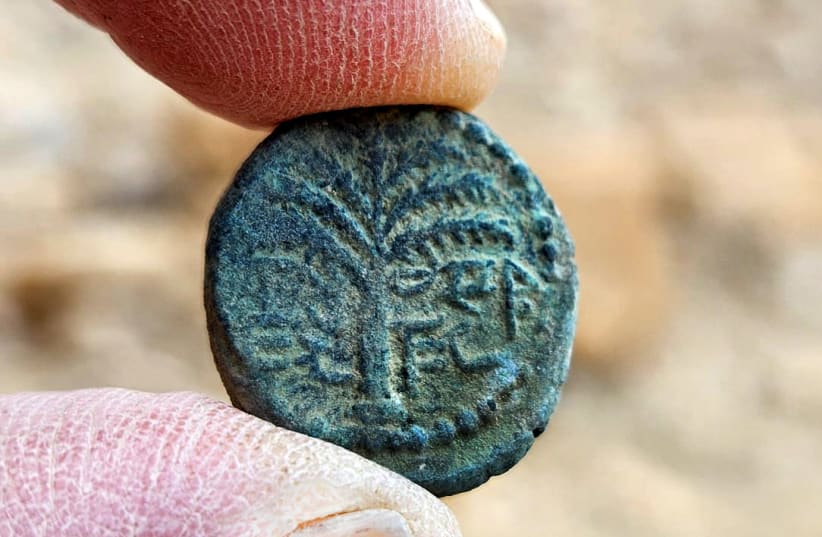  La moneda rara. Lleva grabada una palma fechada y la inscripción "Eleazar el Sacerdote" en escritura hebrea antigua. (photo credit: Emil Aladjem, Israel Antiquities Authority)